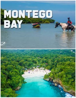 Montego Bay North Course Hwy Area - Frenchman's Cove( Round Trip