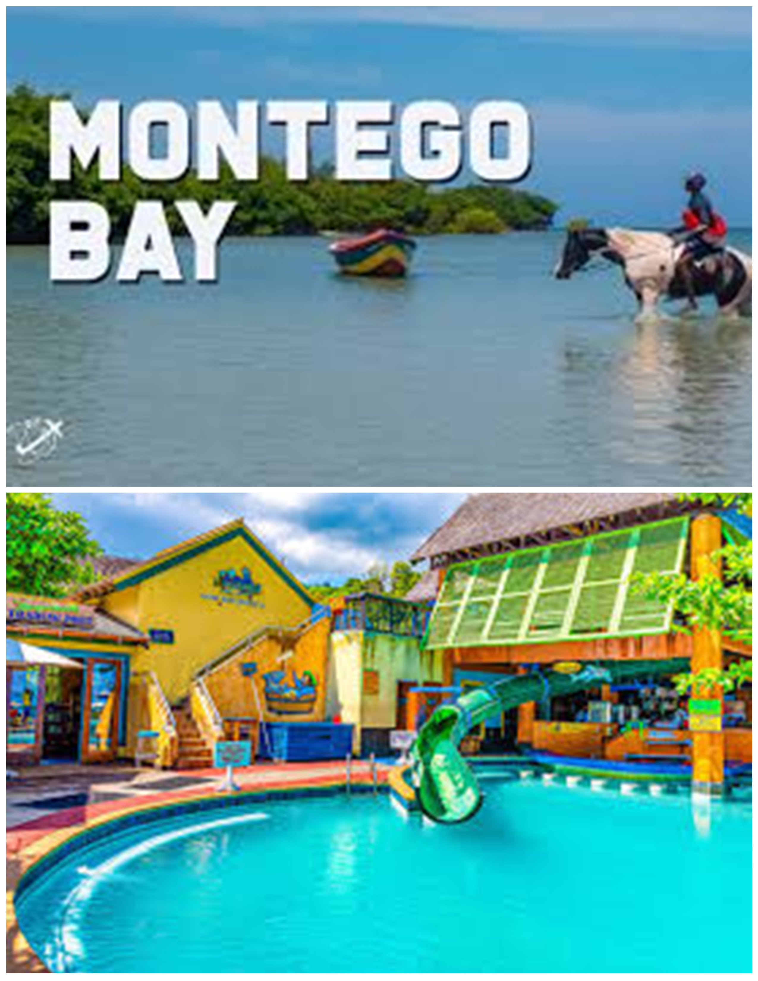 From Montego bay Hotels on North Course Hwy - Margaritaville Ocho Rios ( Round Trip.)