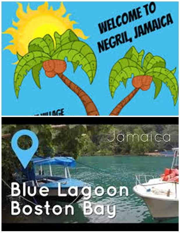 From Negril Centre - Blue Lagoon ( Round trip)