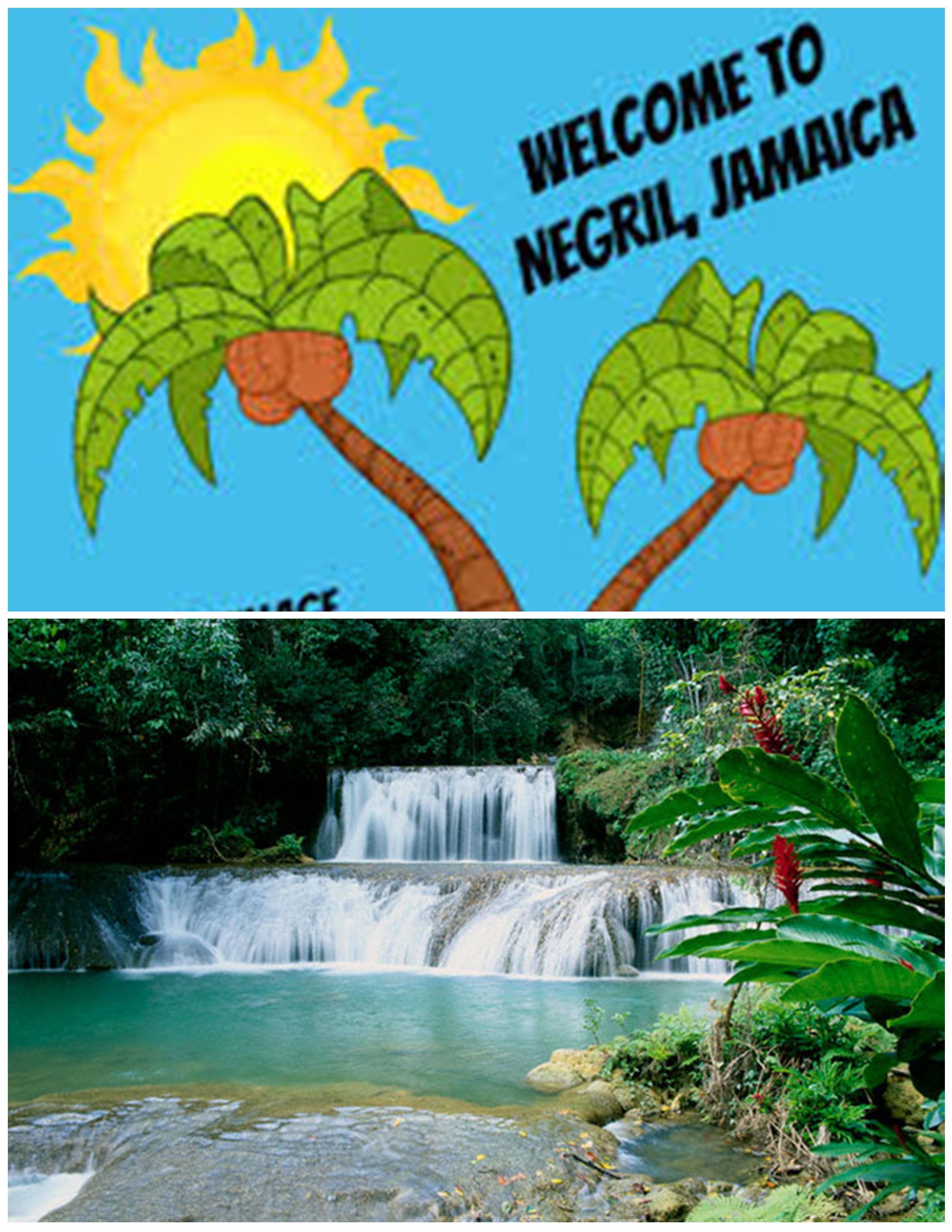 From Negril Centre -YS Falls St. Elizabeth (Round Trip)