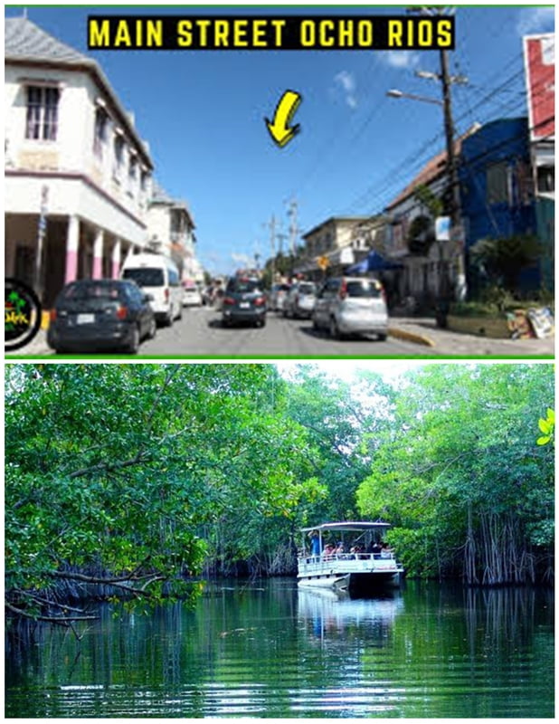 From Ocho Rios Main Street Area  -Black River St. Elizabeth (Round Trip)