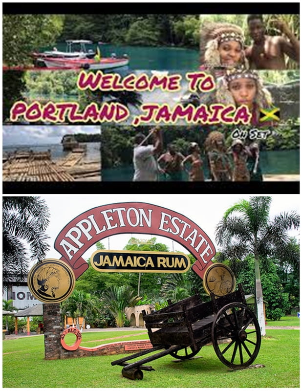 From Portland Area - Appleton Estate St Elizabeth ( Round trip)