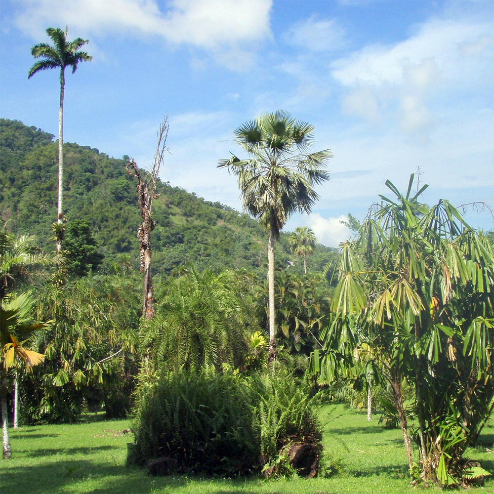 Hollywell Park
