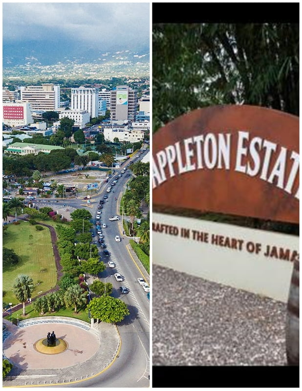 From New Kingston/ Liguanea - Appleton Estate St Elizabeth ( Round trip)