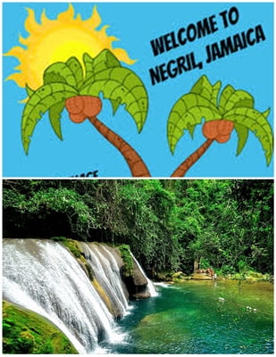 From Negril Centre - Reach Falls ( Round trip)