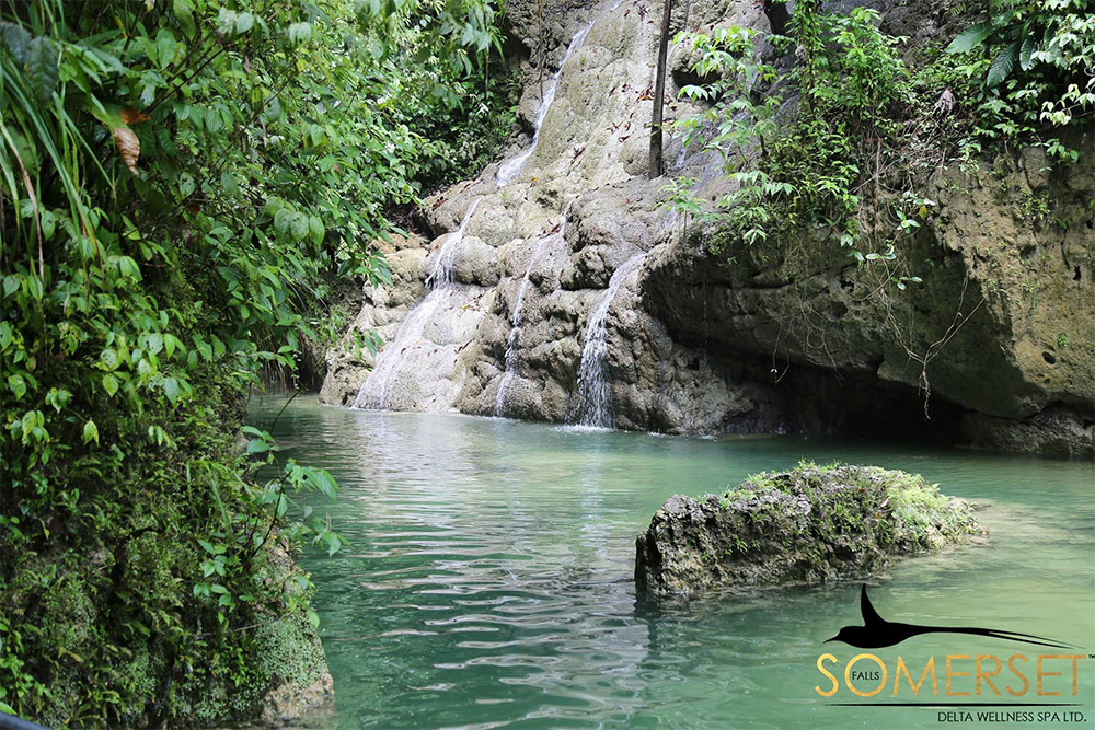 Somerset Falls